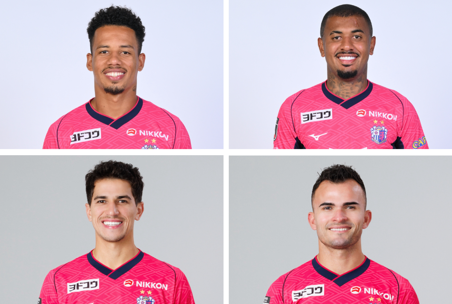 畠中企画シート」、並びに「ブラジルシート」の設置について